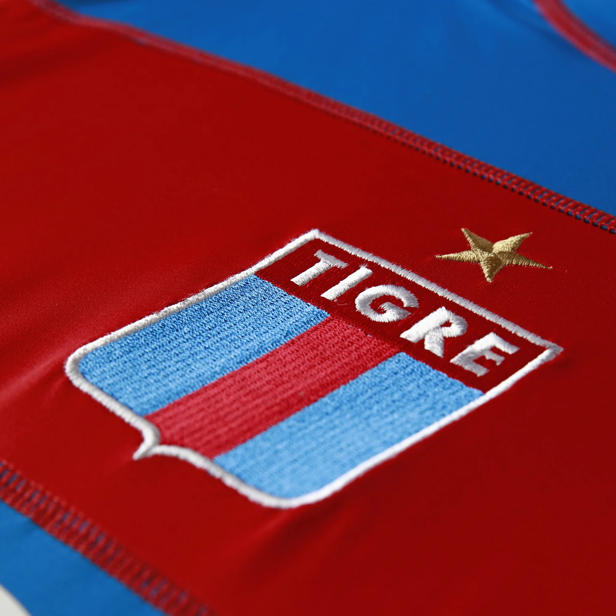 Camiseta Kombat XXV Tigre - Image 5